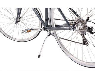 Reid Esprit 7-Speed Ladies Bicycle - Metallic
