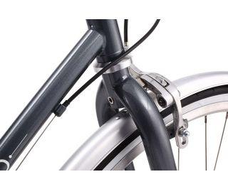 Reid Esprit 7-Speed Ladies Bicycle - Metallic