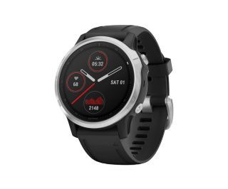 Garmin Fenix 6S Black/Silver Smartwatch