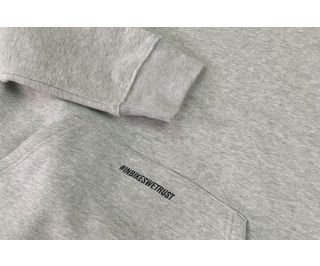 Pull Hoodie Santafixie SNTFX Édition Limitée Gris