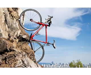 Clug Roadie Wall Mount - Orange