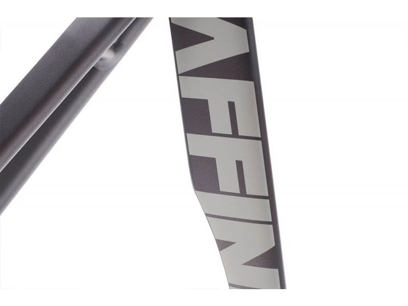 Affinity Kissena Frameset Film Grain