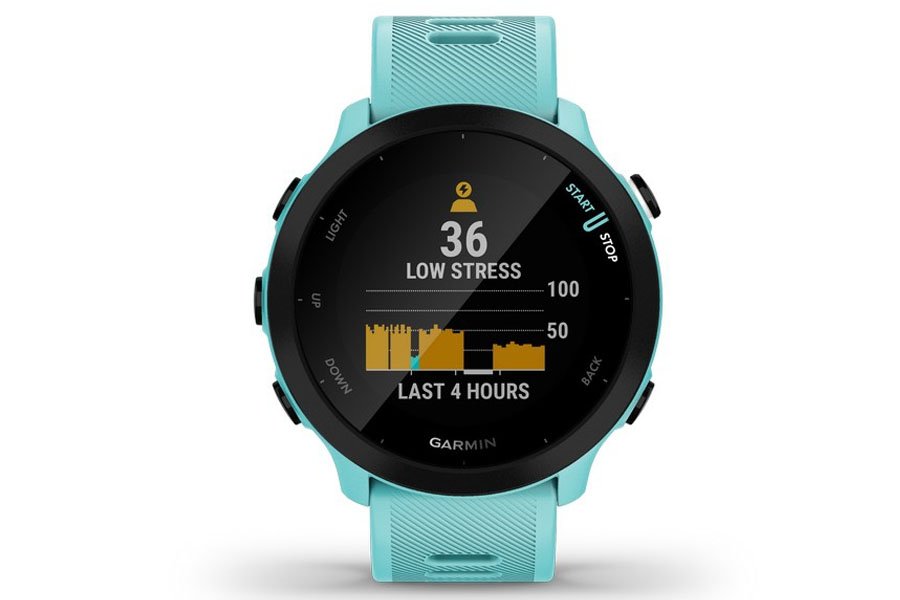 Garmin Reloj Forerunner 55 Garmin Forerunner 55 Watch GPS