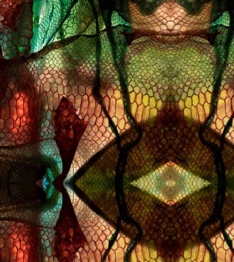 mue de serpent en très gros plan.