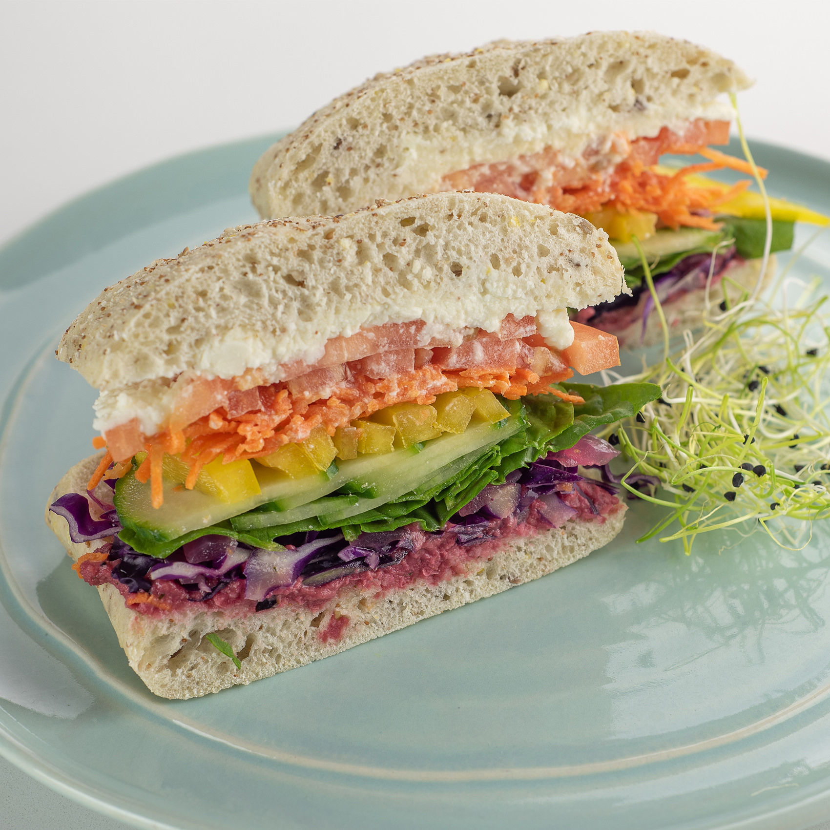 Rainbow Veggie Sandwich