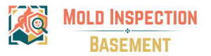 National Mold Inspection Basement