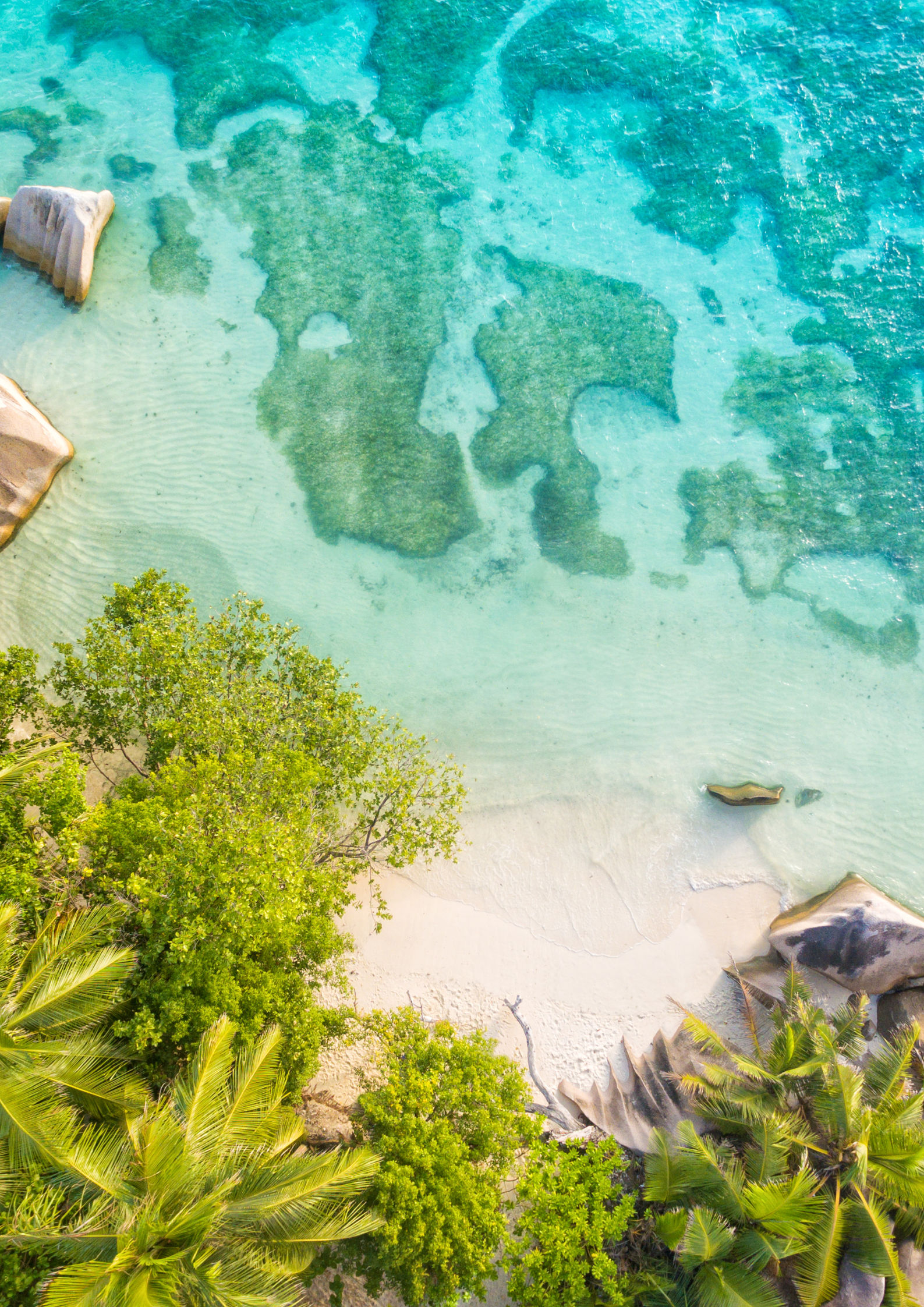 Holiday to Seychelles from Thiruvananthapuram