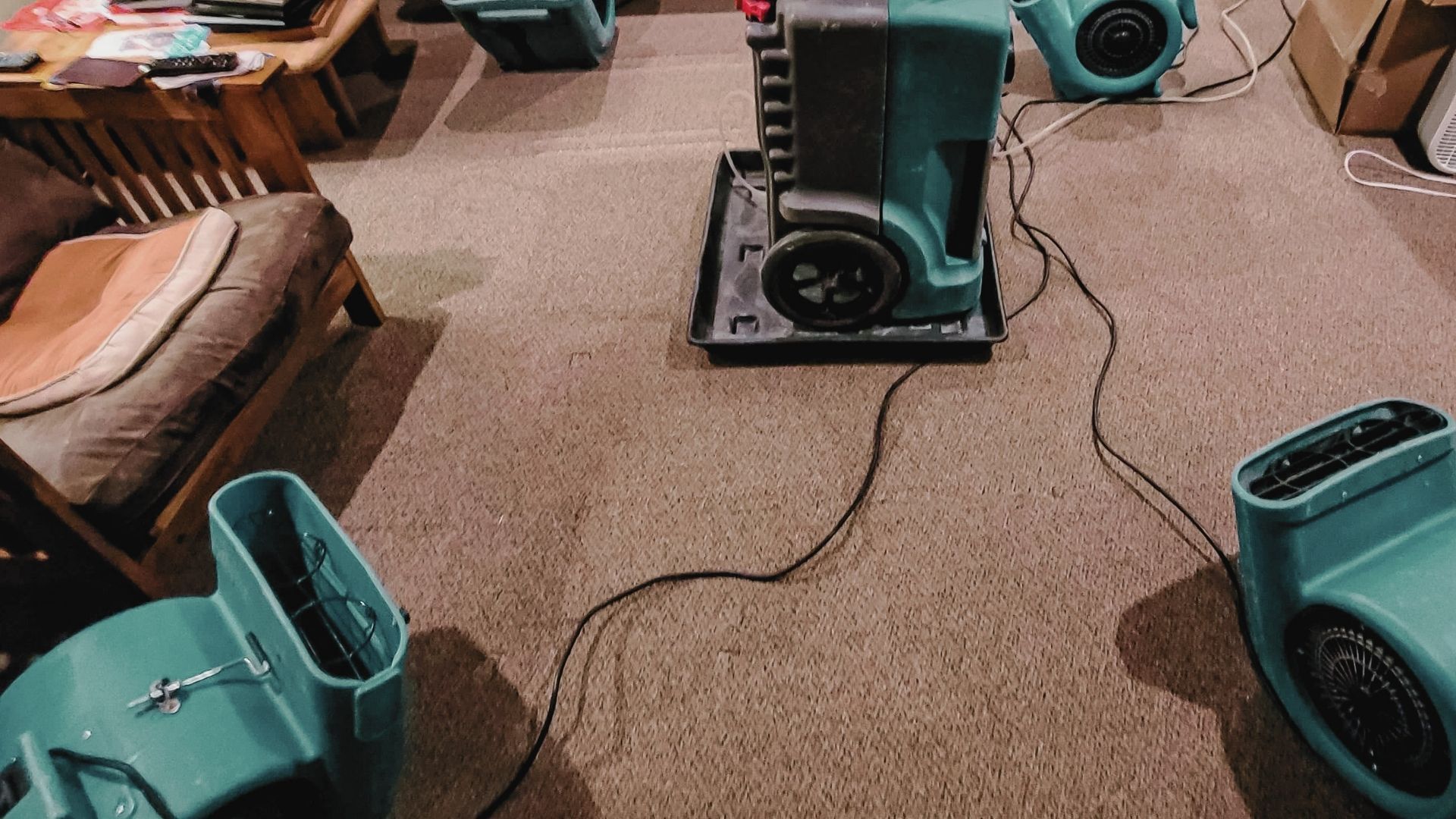 Water Damage Restoration in Delmita, TX