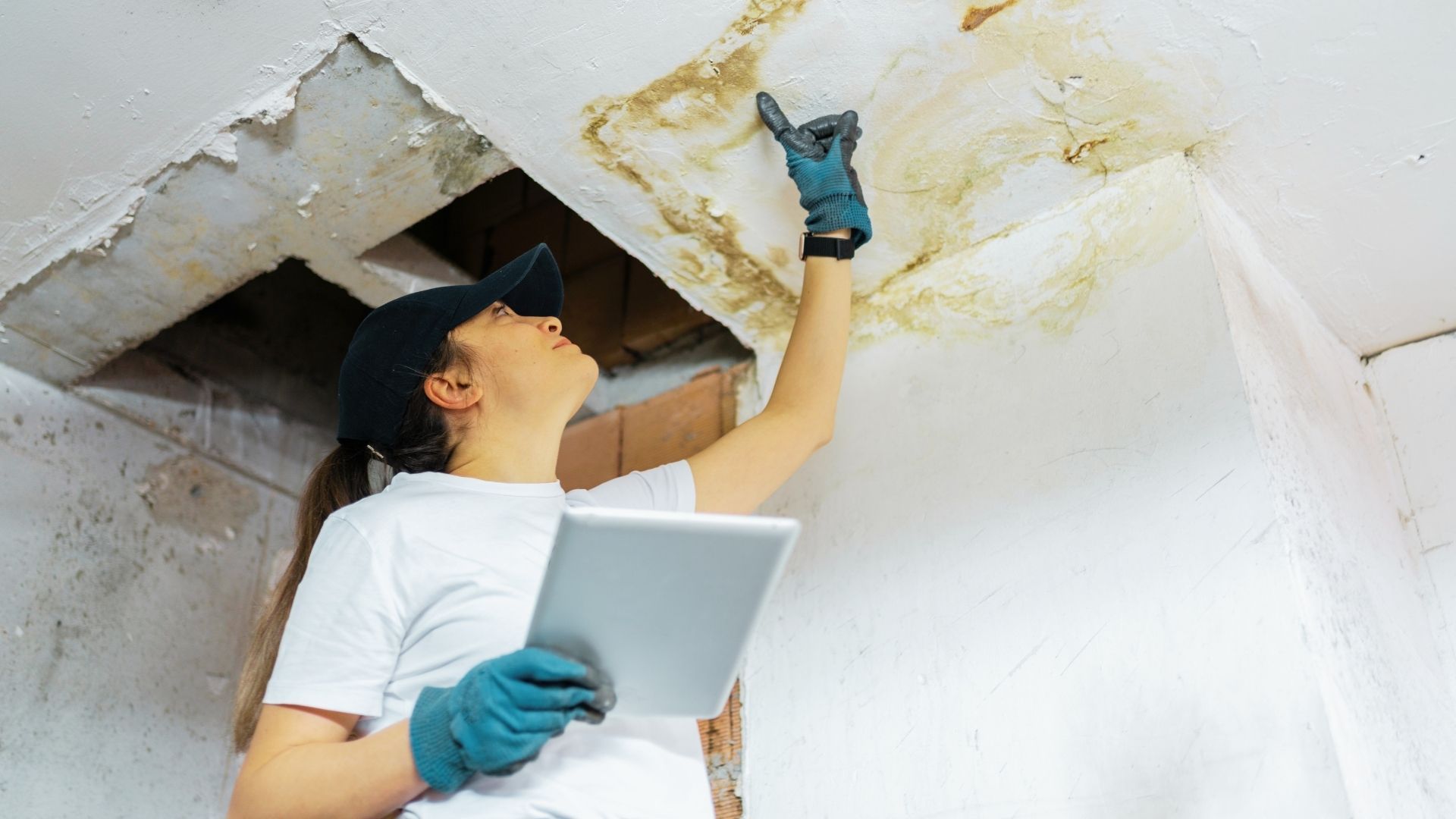 Floor Water Damage Repair in Delmita, TX