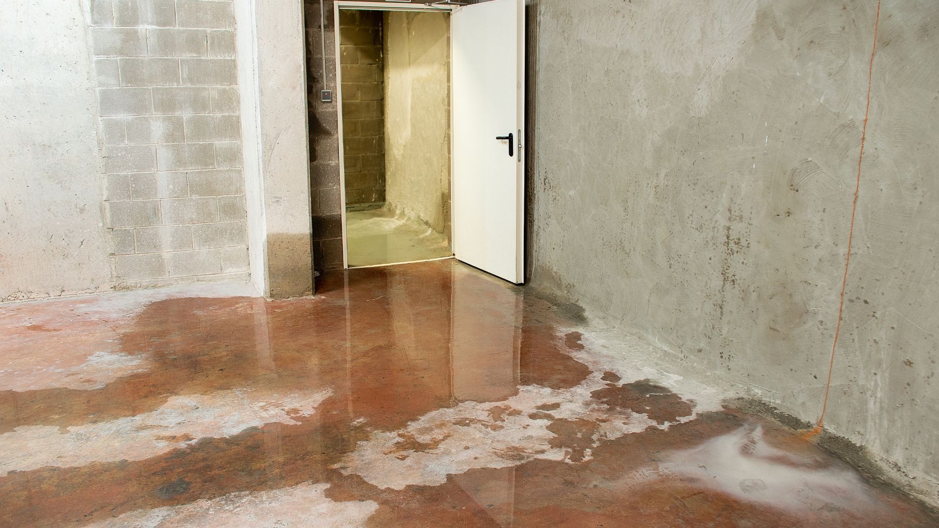 FAQS about Water Damage Restoration Services in Delmita, TX