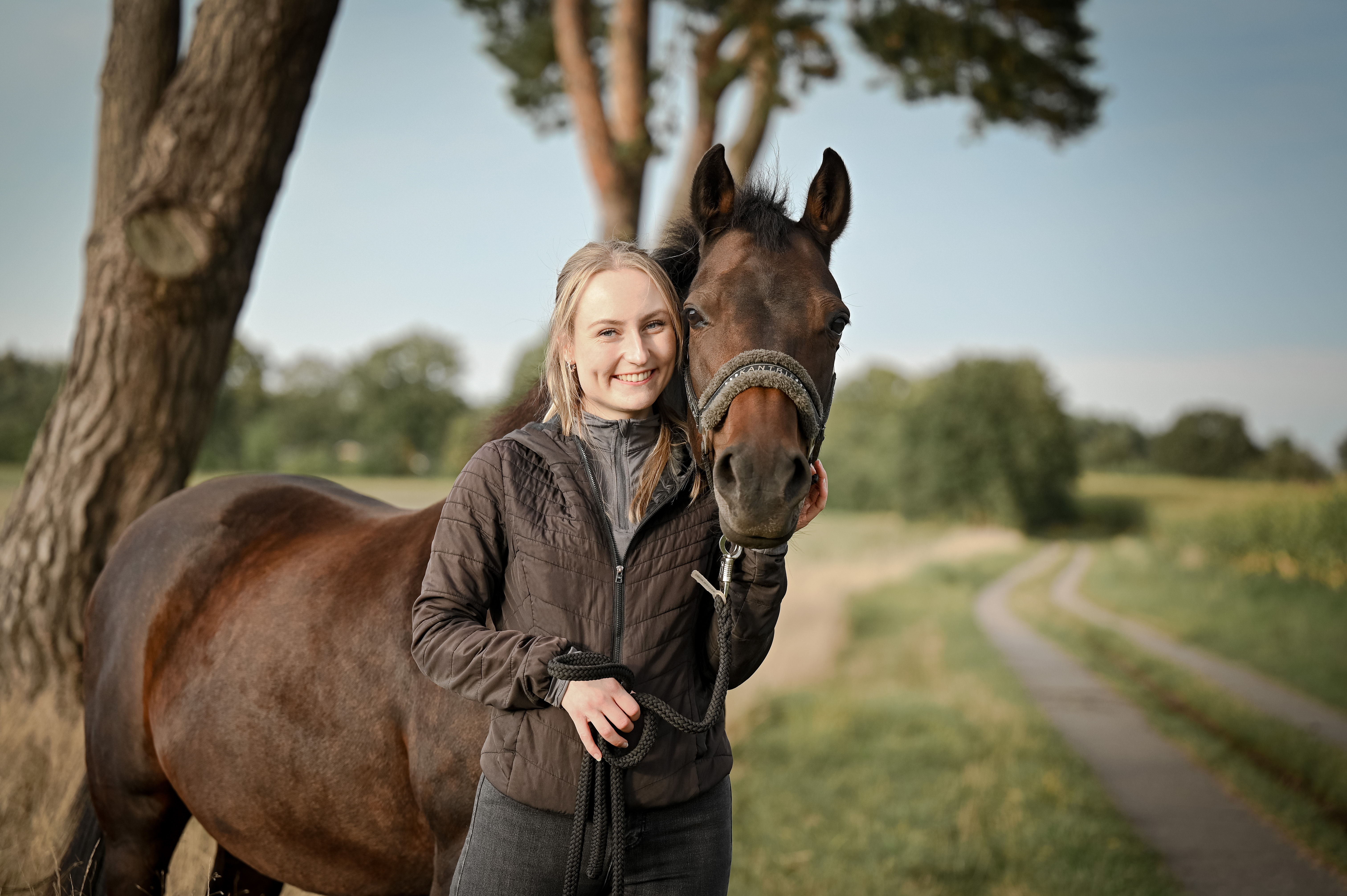 horse2