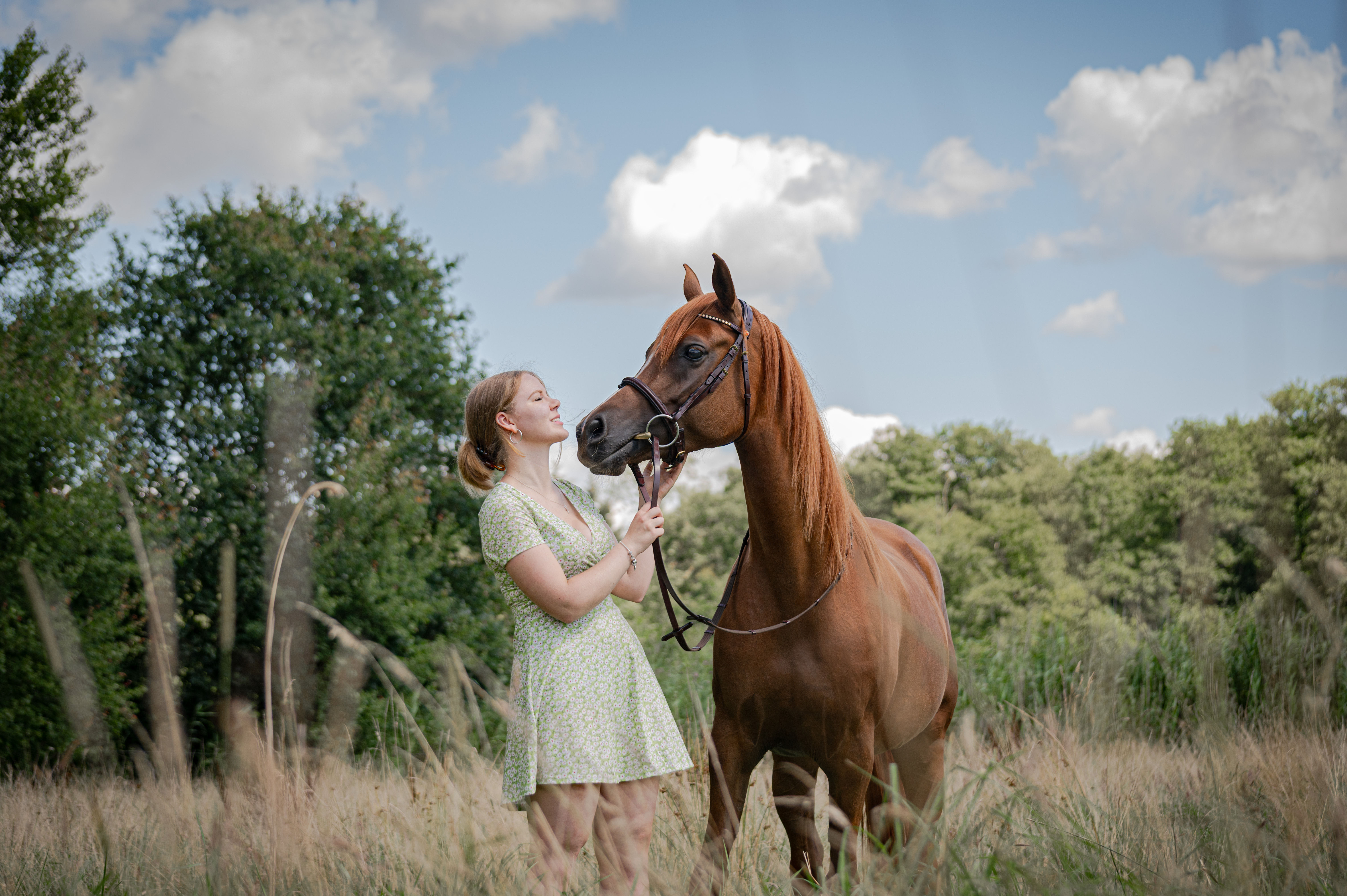horseHero