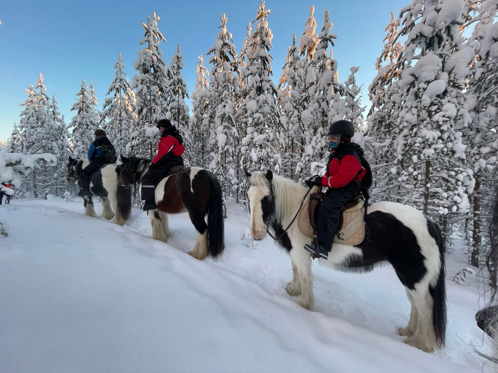 Reiten am Polarkreis