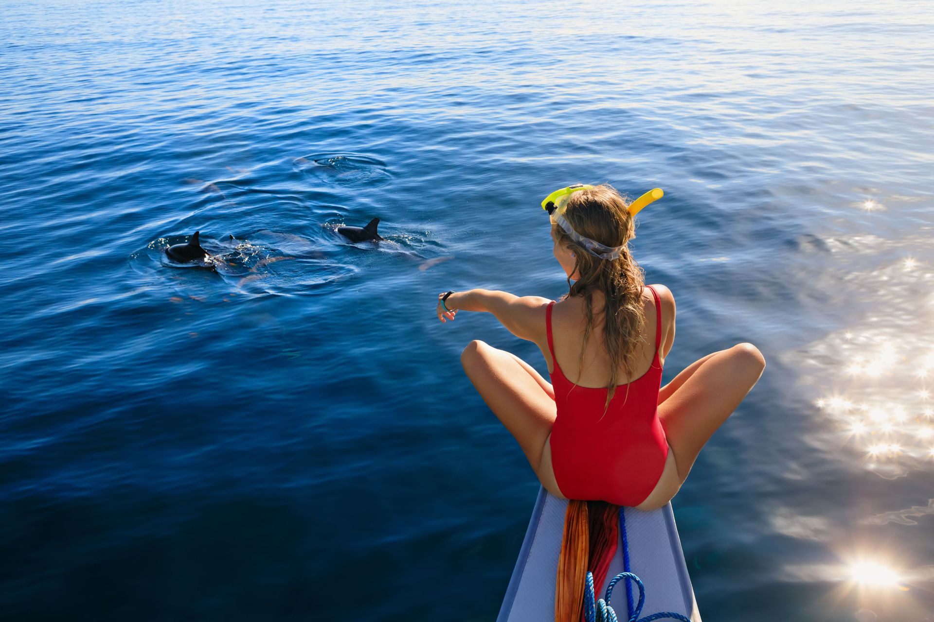 Bootstour mit Delfinbeobachtung