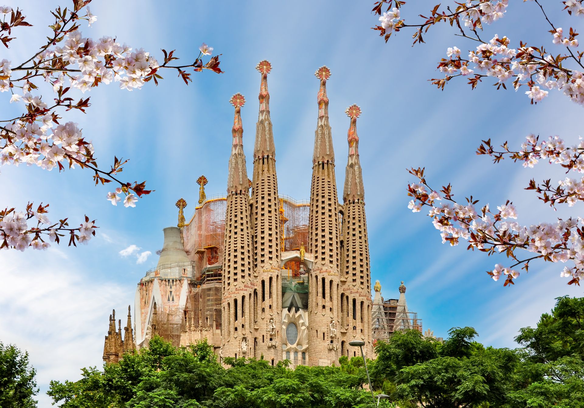 Sagrada Familia mit Zugang zum Turm
