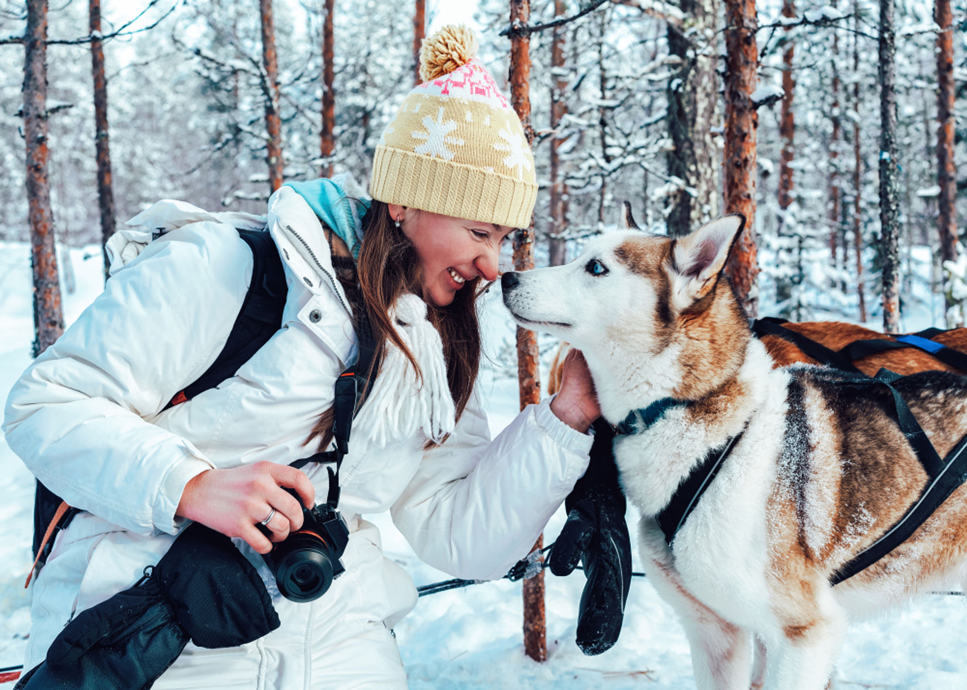 Rentiere, Huskys & Weihnachtsmanndorf