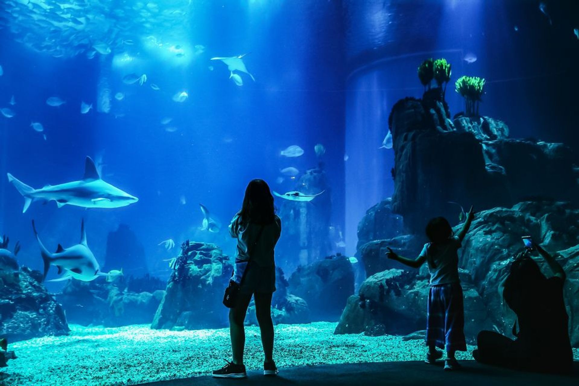 Ticket für das Ozeanarium Lissabon