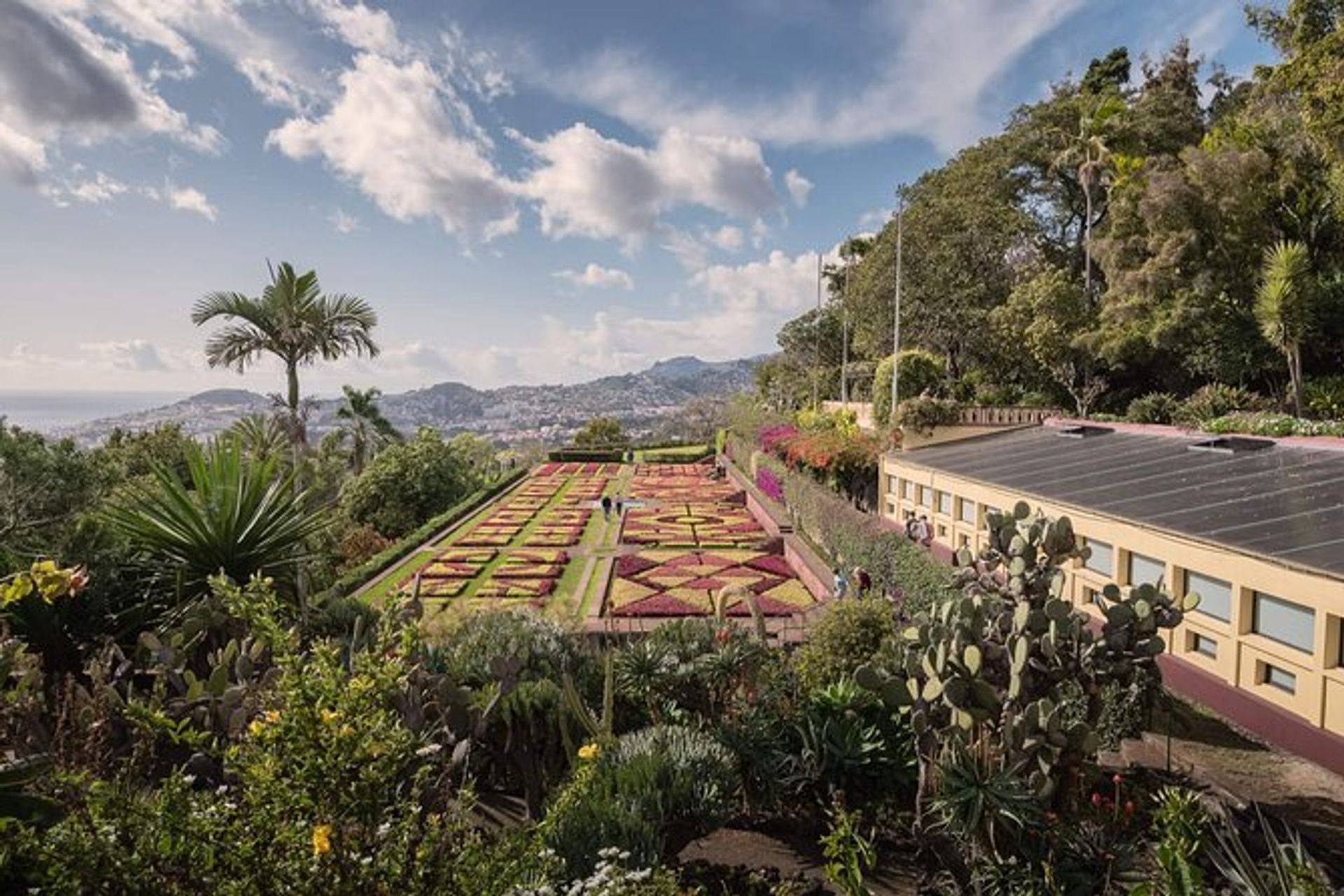 Private Tuk-Tuk Tour durch die Altstadt & Botanischer Garten Funchal (Funchal)