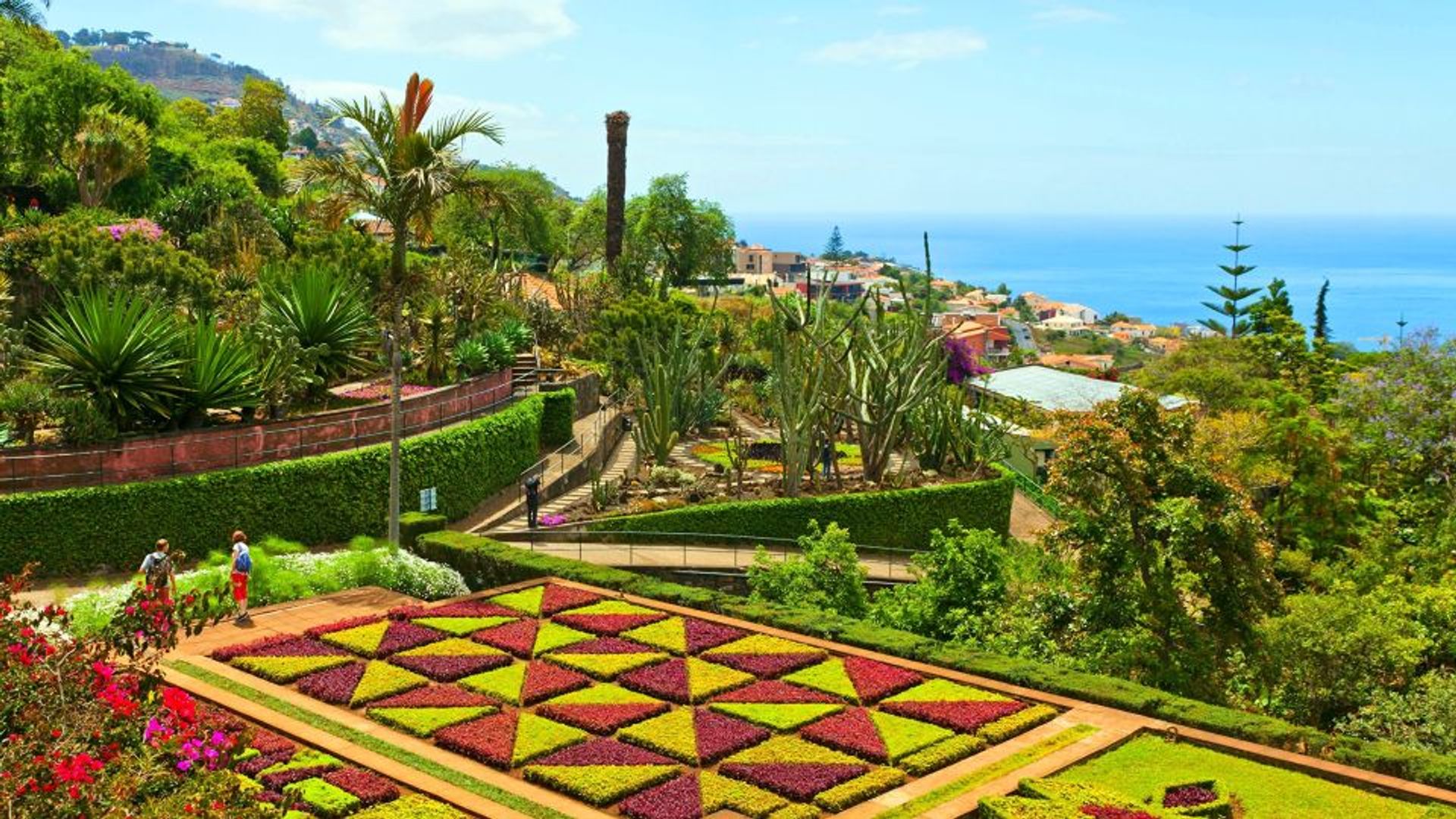 Private Tuk-Tuk-Tour durch den Botanischen Garten