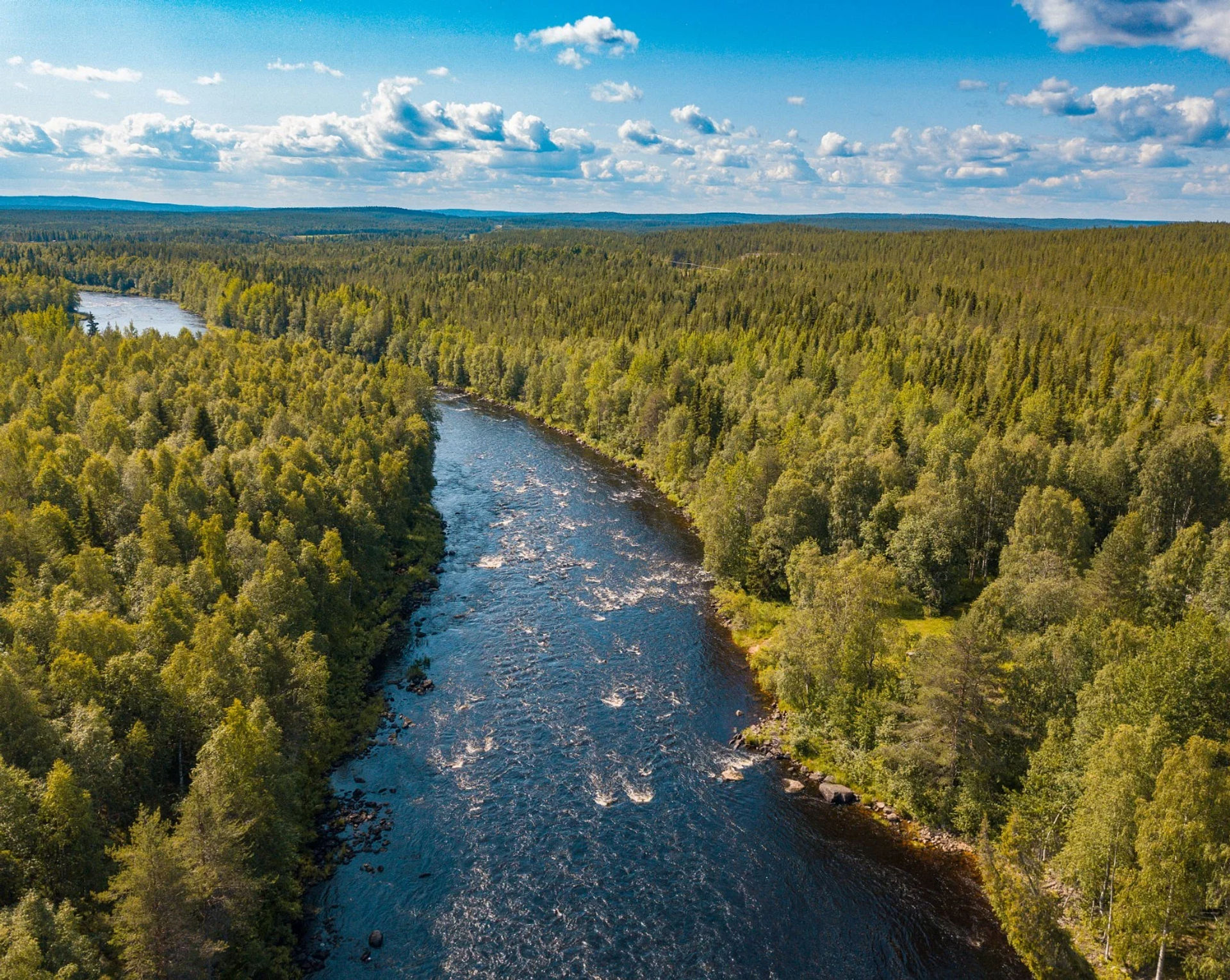 Wanderung in das Naturgebiet Vikaköngäs 
