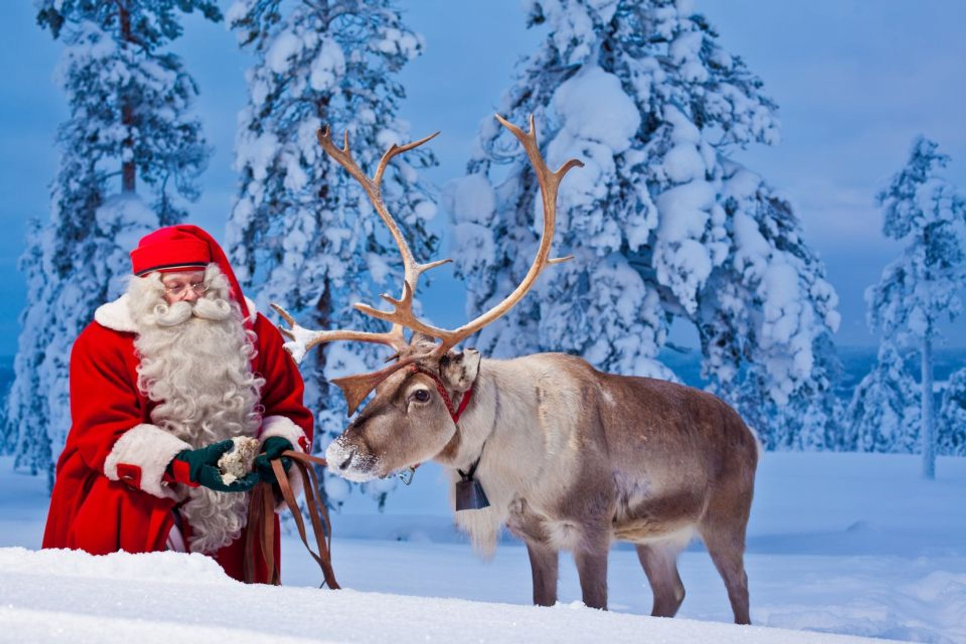 Weihnachtsmanndorf & Polarkreis