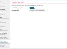 visibility settings section