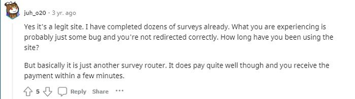surveytime review