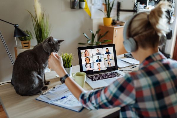 new job working from home
