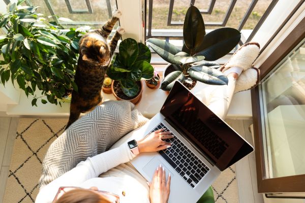 Transcriptionist work from home