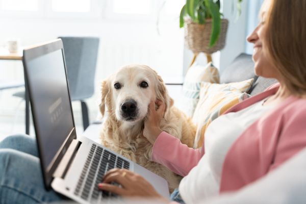 Working With Your Cycle (Not Against It): A Smarter Way to Work From Home 4