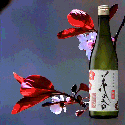 花之香 梅花 純米大吟釀