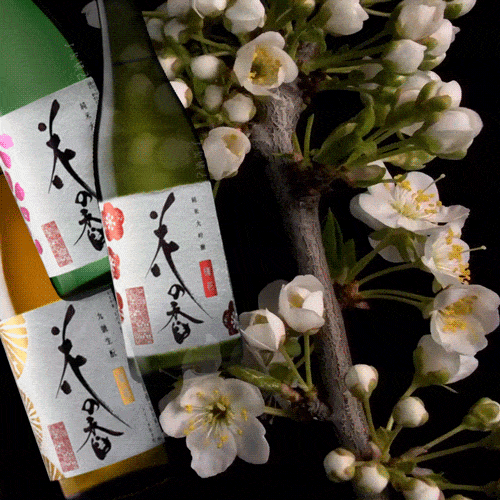 花見酒/賞味組