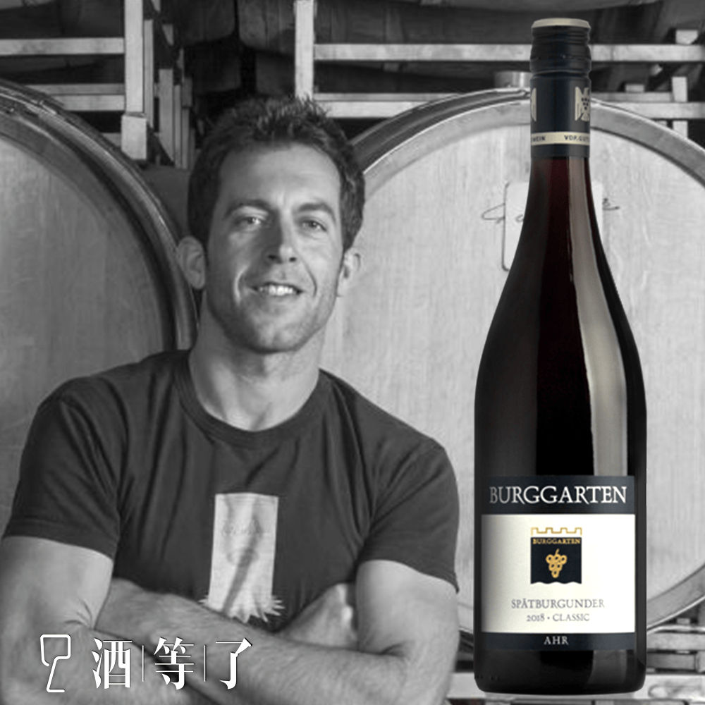德國 阿爾區 莊園堡 經典黑皮諾 VDP紅葡萄酒