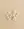 A charm-filled kit of Sweet Water Pearls from WALD World showcased on a beige background.