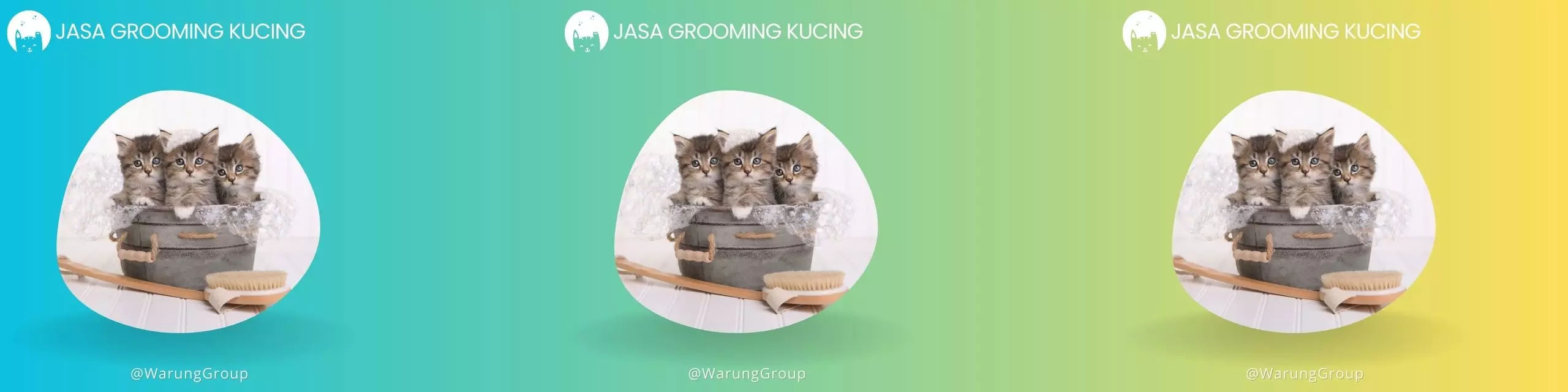 Jasa Grooming Kucing