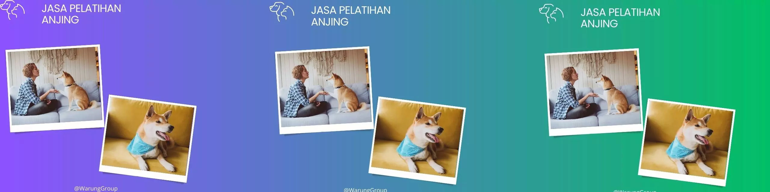 Jasa Pelatihan Anjing