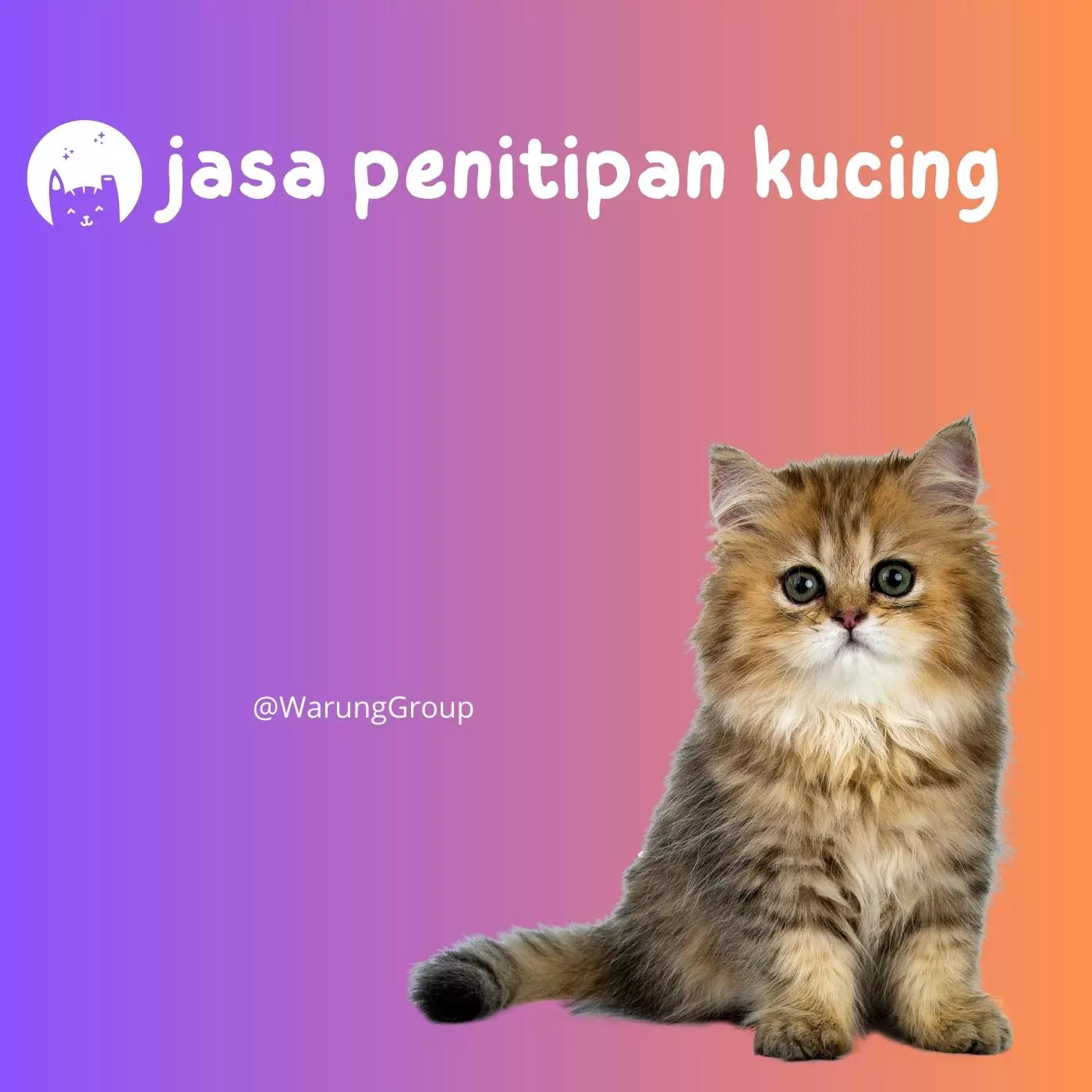 Pengertian Jasa Penitipan Kucing