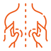 Physiotherapy and Exercise