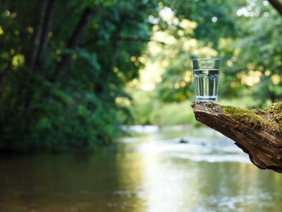 Sumber Air Minum Terbaik untuk Dikonsumsi, Dari Mana Saja?