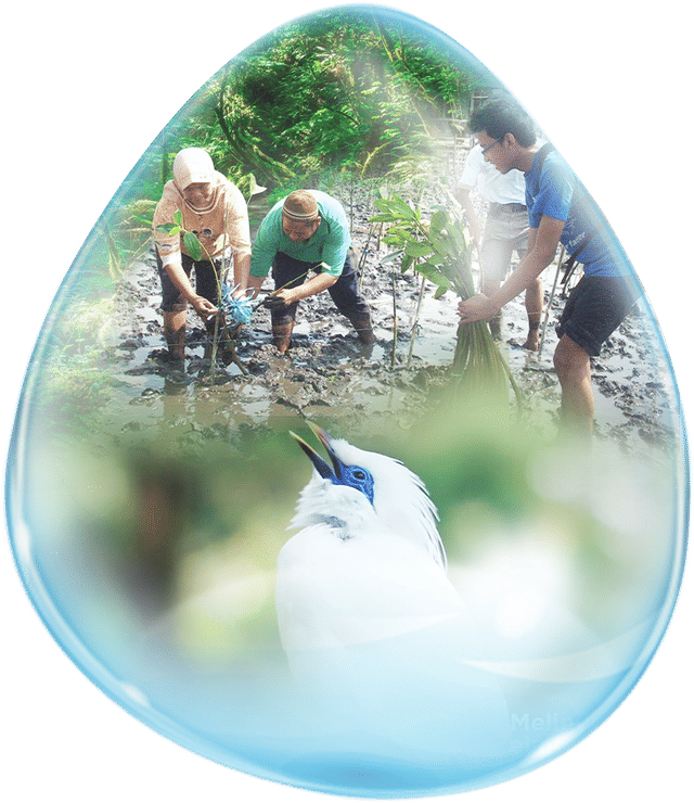 Picture of Protecting the water source