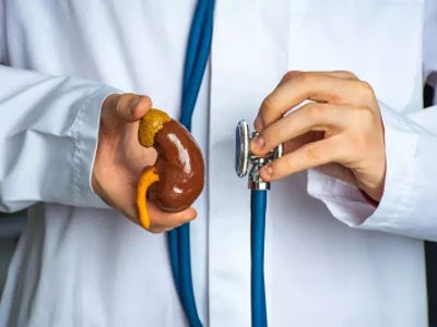 8 Cara Menjaga Kesehatan Ginjal Agar Fungsinya Tetap Optimal