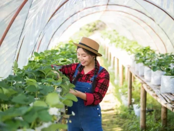 5 Tips Berkebun untuk Pemula di Rumah, Mudah & Praktis!