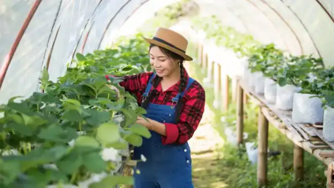 6 Tips dan Manfaat Berkebun di Rumah, Cocok untuk Pemula
