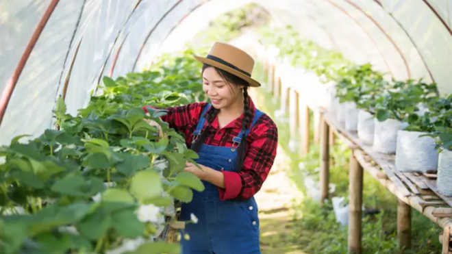 5 Tips Berkebun untuk Pemula di Rumah, Mudah & Praktis!