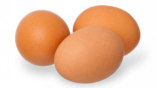 Diet Telur Rebus, Efektifkah untuk Menurunkan Berat Badan?