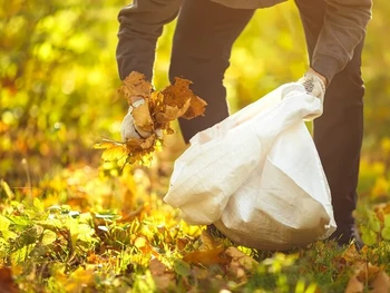 8 Cara Menjaga Kebersihan Lingkungan, Yuk Terapkan!