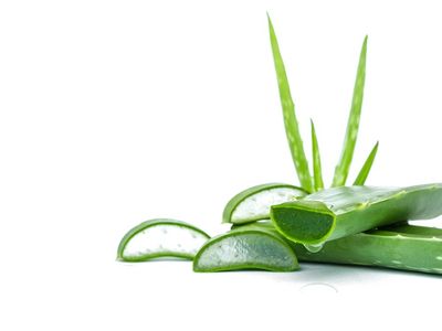 11 Manfaat Lidah Buaya untuk Kesehatan Tubuh dan Kulit