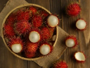 15 Manfaat Buah Rambutan & Kandungan Sehatnya
