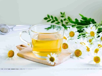 5 Rekomendasi Minuman Herbal untuk Asam Lambung, Harus Coba!