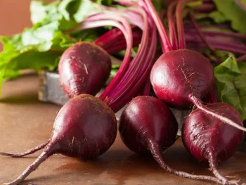 Beetroot Adalah Tanaman yang Kaya Akan Serat, Yuk Simak!